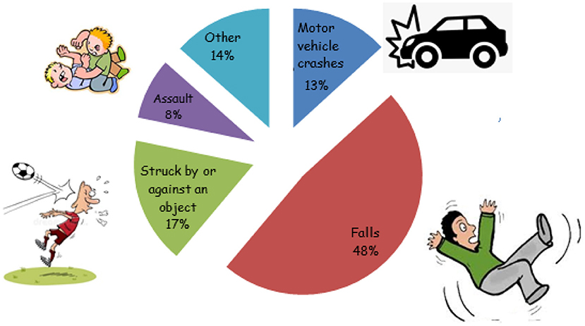 Figure 2 - Major causes of TBI in the U.S. according to data from 2014.