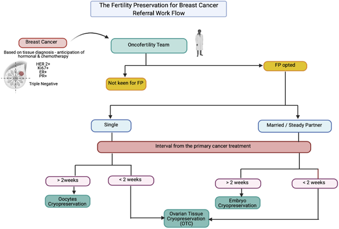 Casting For Recovery Pink Reel, 1 in 8 women will develop invasive breast  cancer at some point in their lives. Our friends at Casting for Recovery  offer support for cancer patients