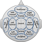 www.frontiersin.org