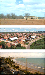 www.frontiersin.org