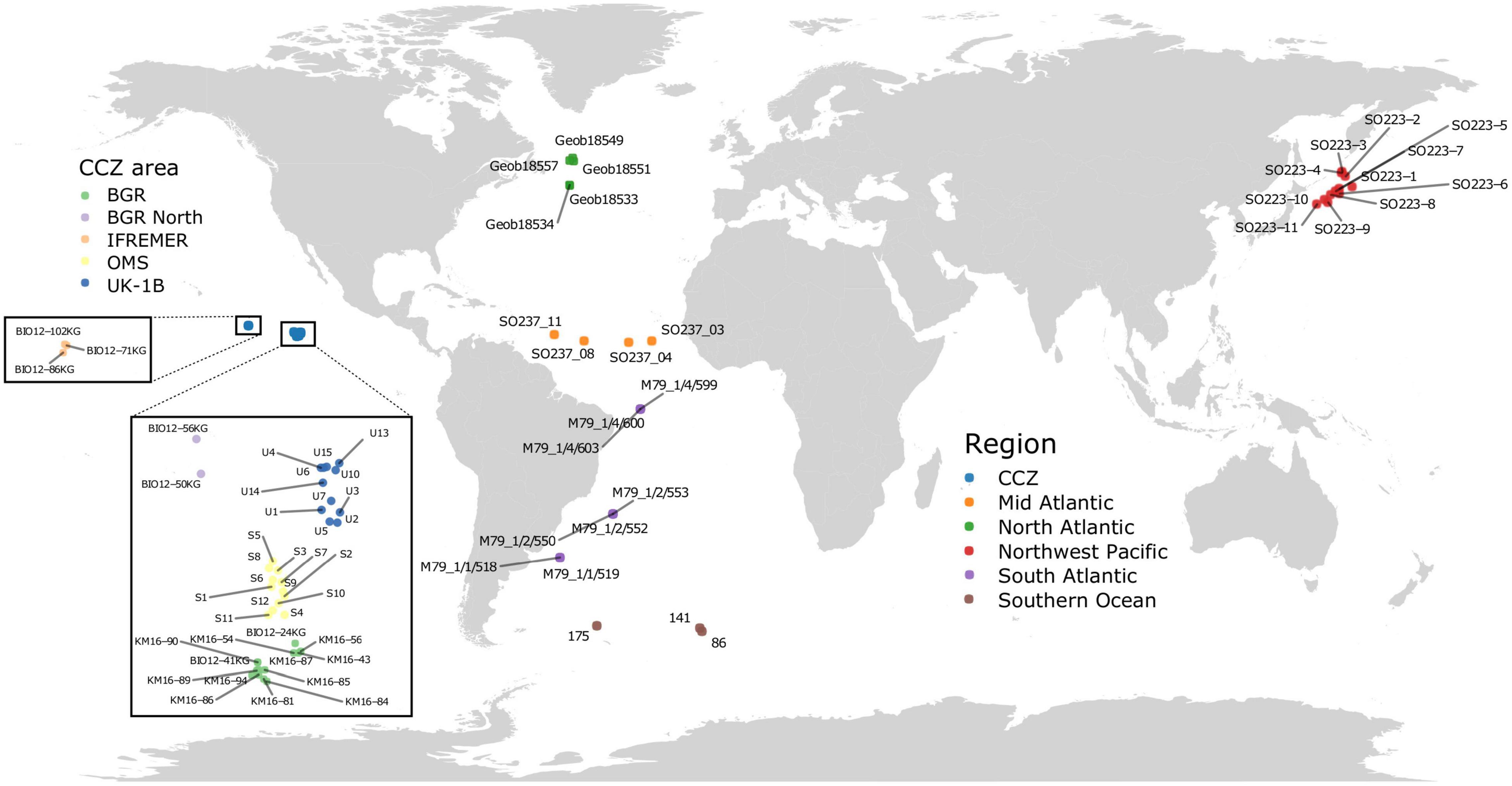 Frontiers   Eukaryotic Biodiversity and Spatial Patterns in the