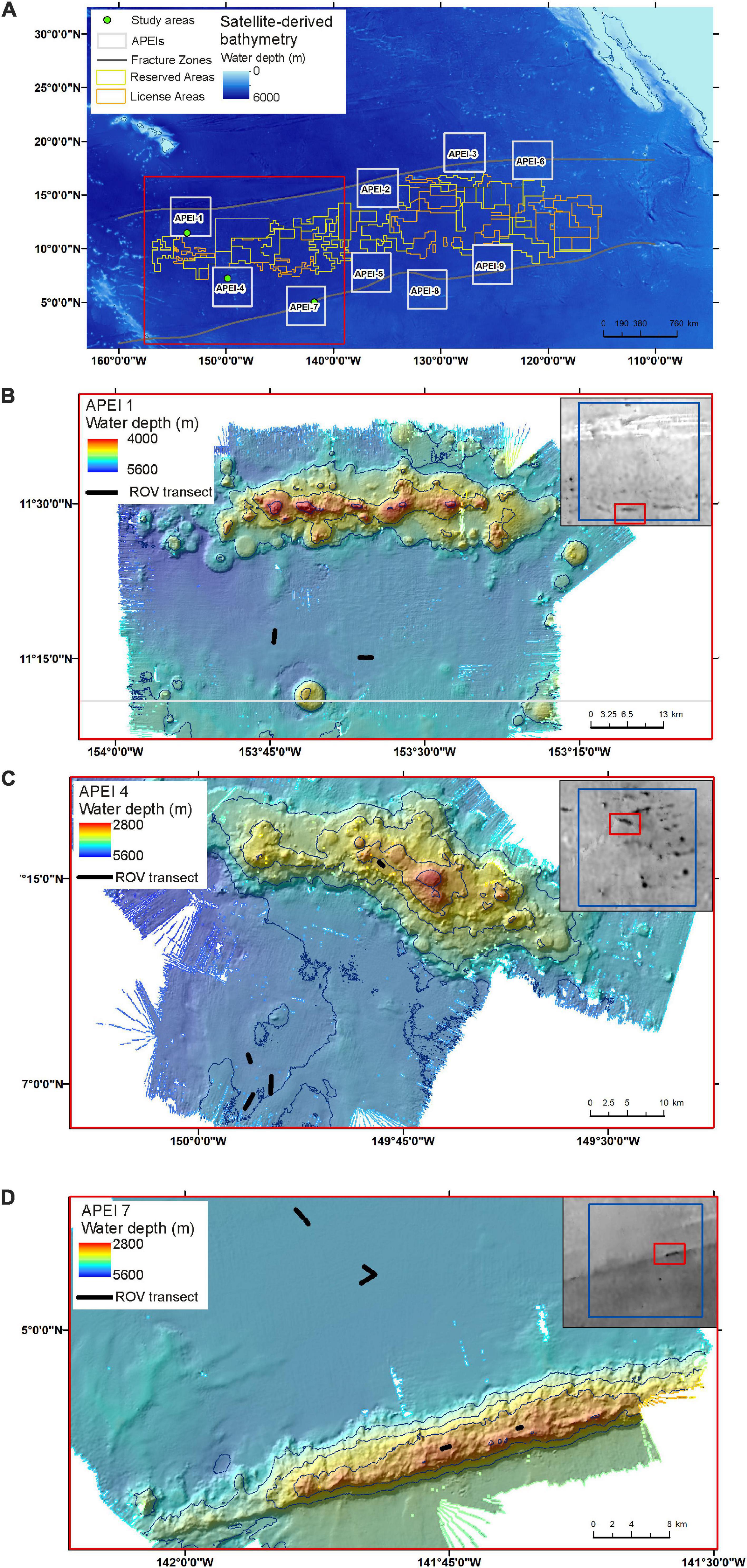 Frontiers | Megafaunal Ecology of Clarion Clipperton Zone |