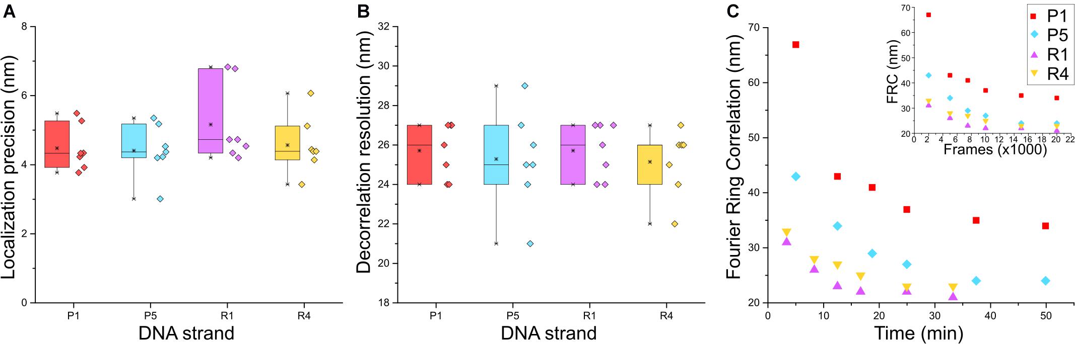 Reconstructing Soma–Soma Synapse-like Vesicular Exocytosis with DNA Origami