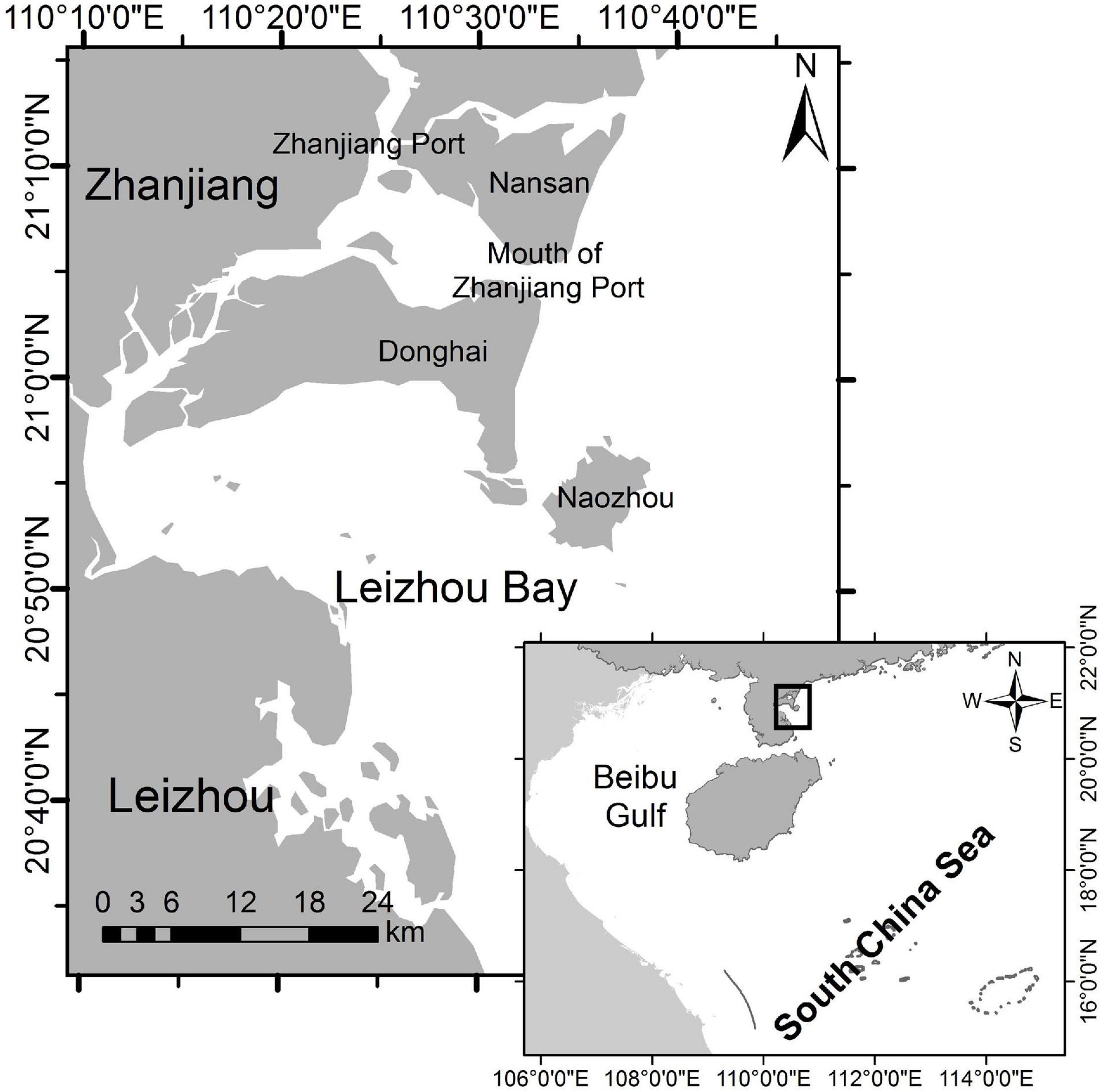 Frontiers Intra-Population Variability in Group Size of Indo-Pacific Humpback Dolphins (Sousa chinensis) image