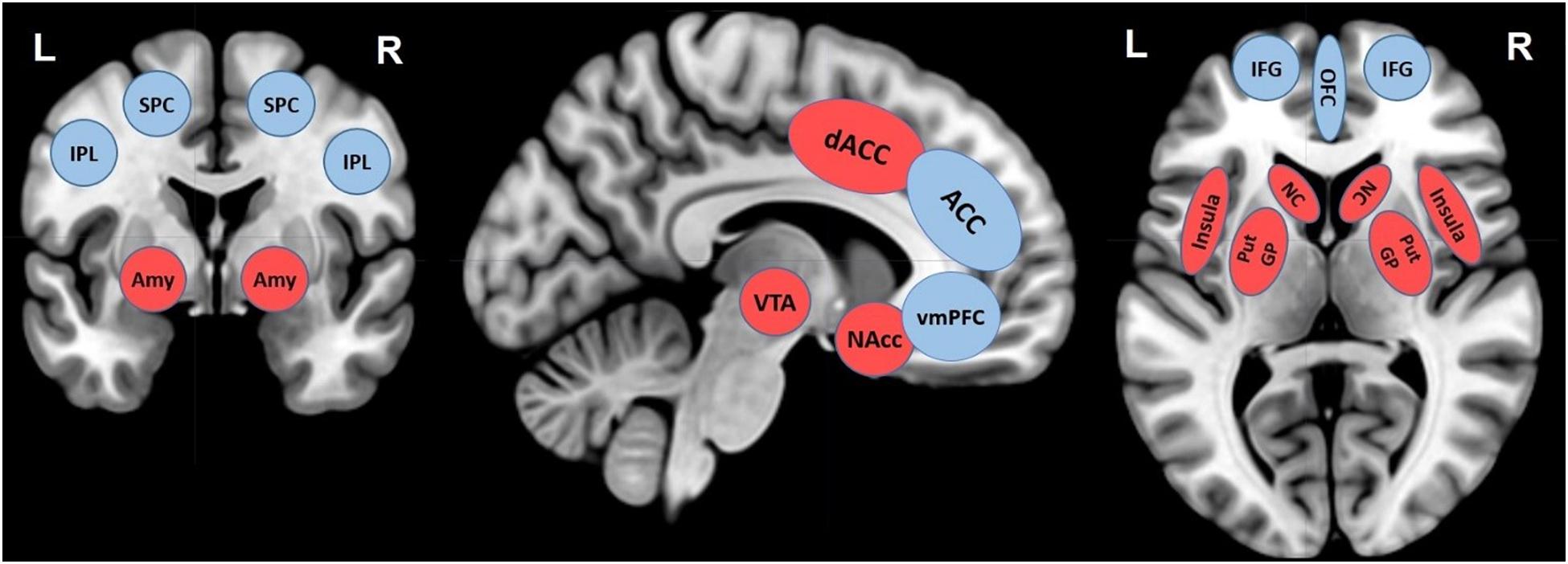 Video games will destroy your brain : r/neurology