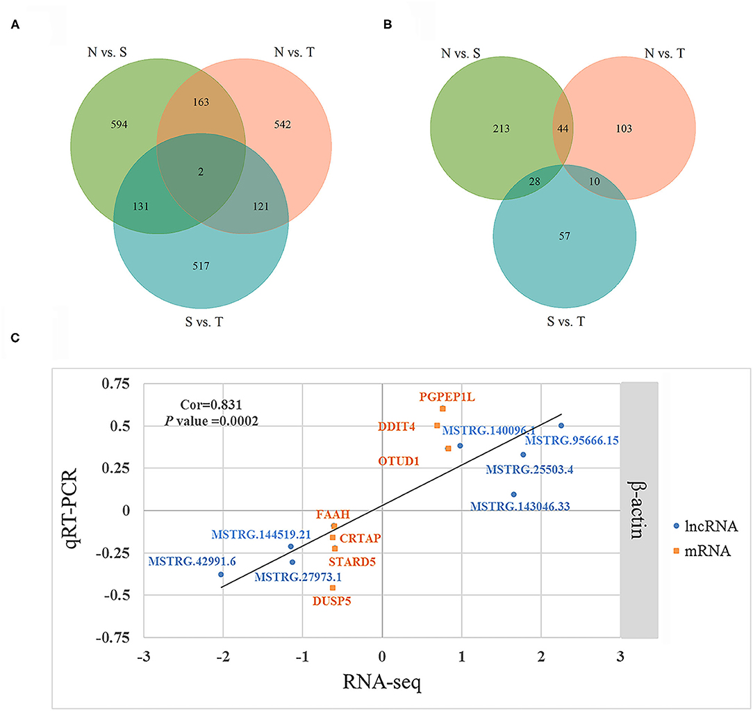 Frontiers | Transcriptome Analysis Revealed Potential Mechanisms of ...