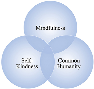 Figure 1 - The 3 components of self-compassion interact to create a self-compassion mindset.