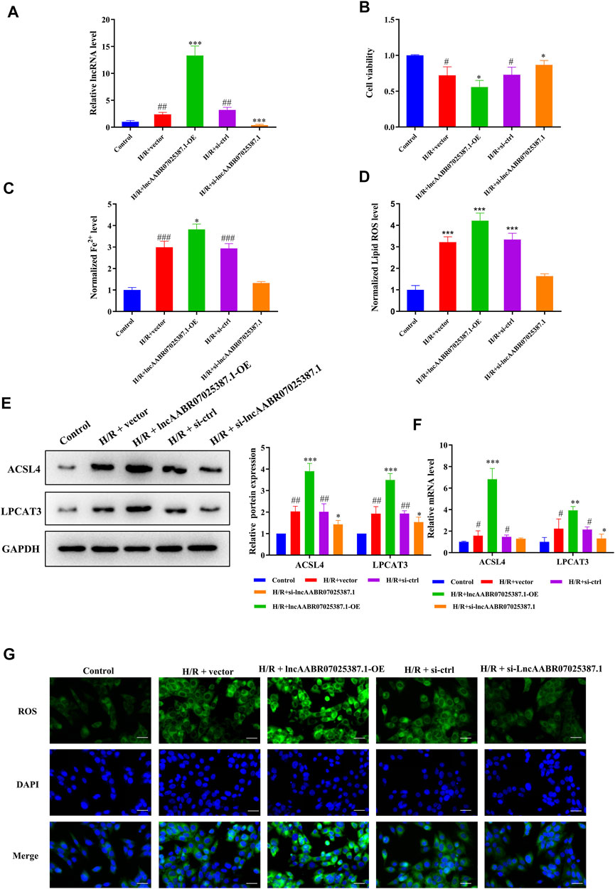 IJMS  January-1 2022 - Browse Articles