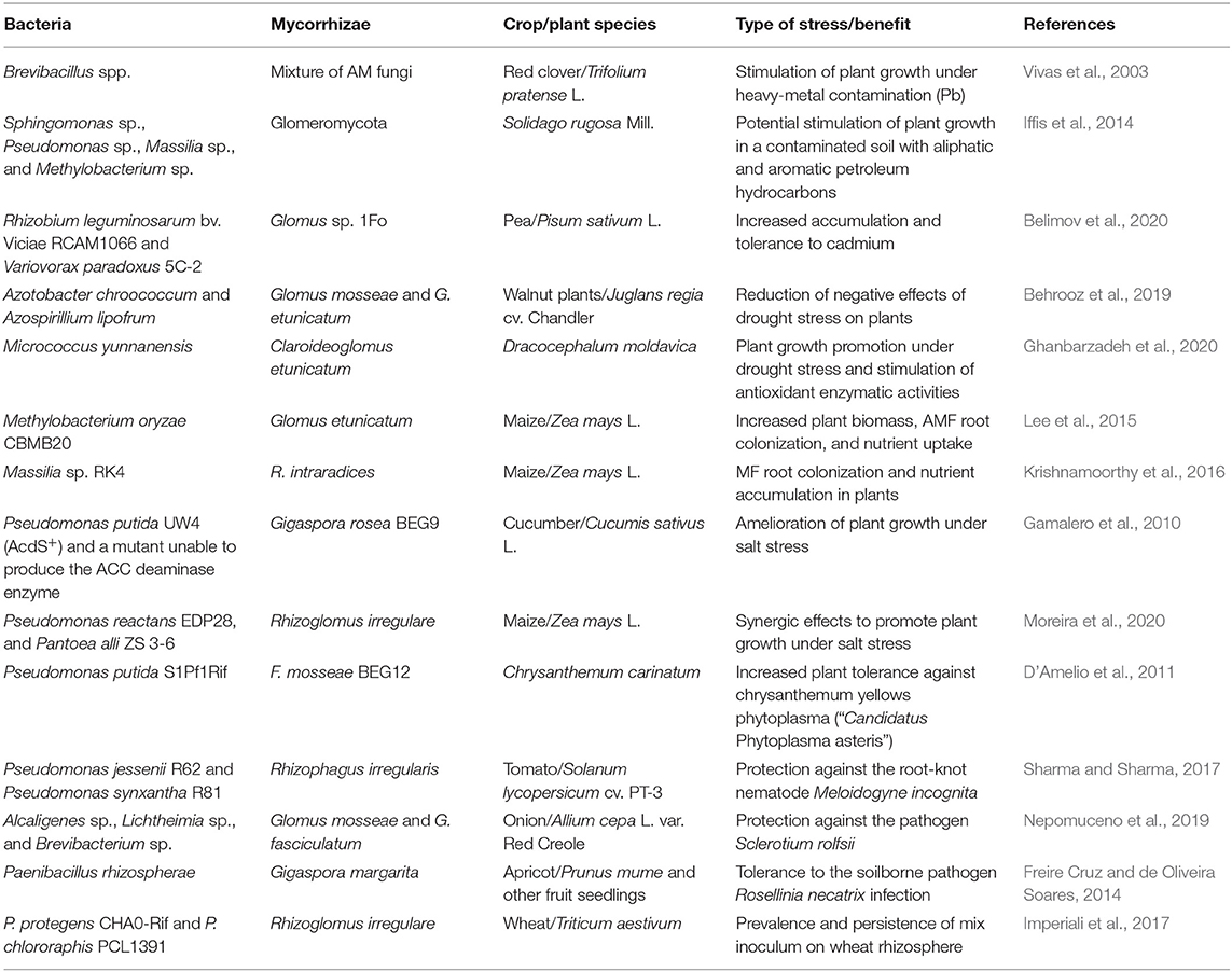 Frontiers | Mycorrhizal-Bacterial Amelioration of Plant Abiotic 