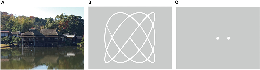 www.frontiersin.org