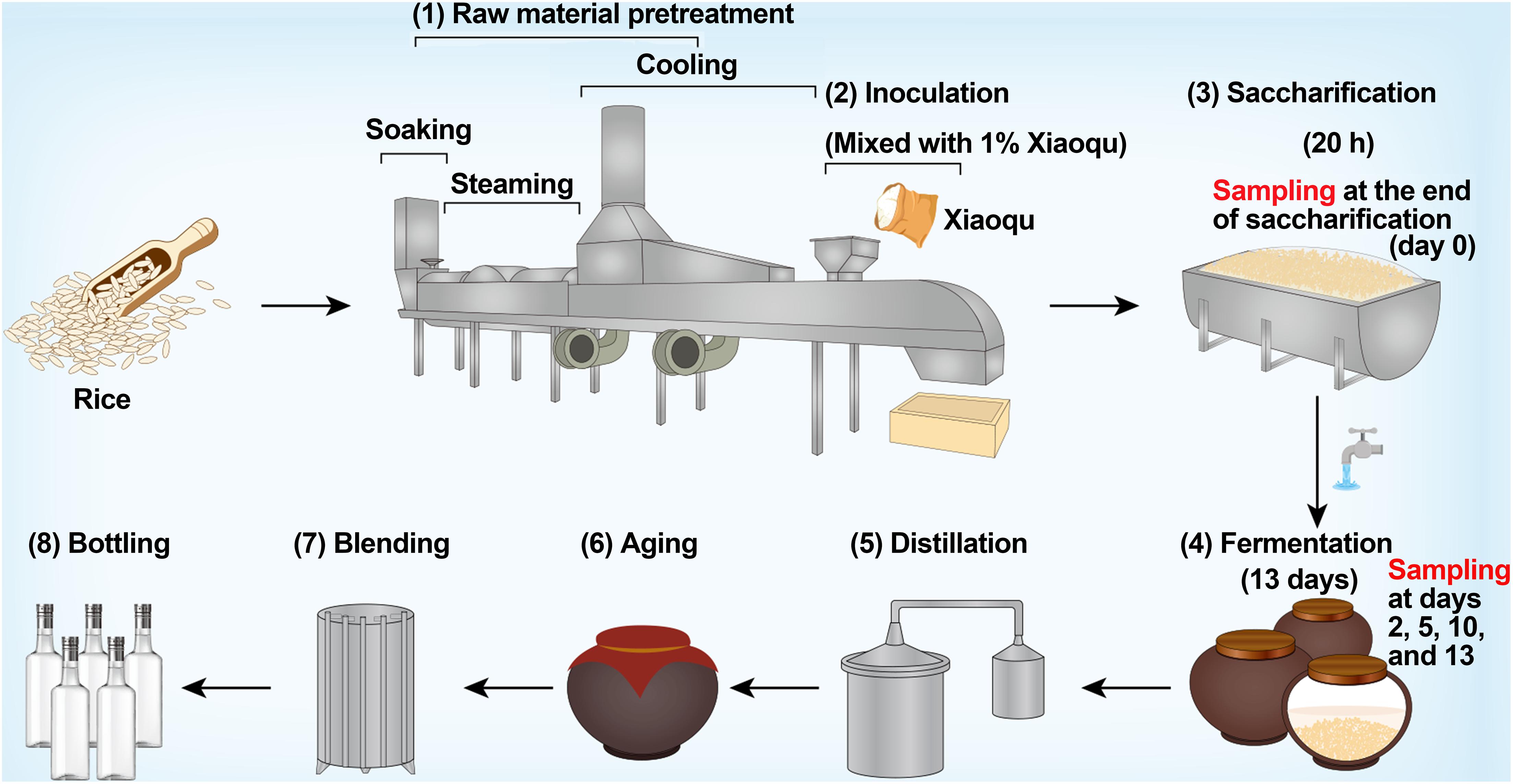 Pt product