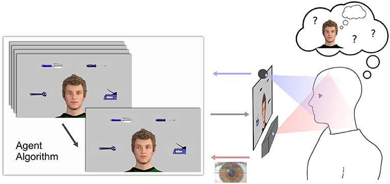 Students' performance in interactive environments: an intelligent model  [PeerJ]