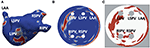 www.frontiersin.org