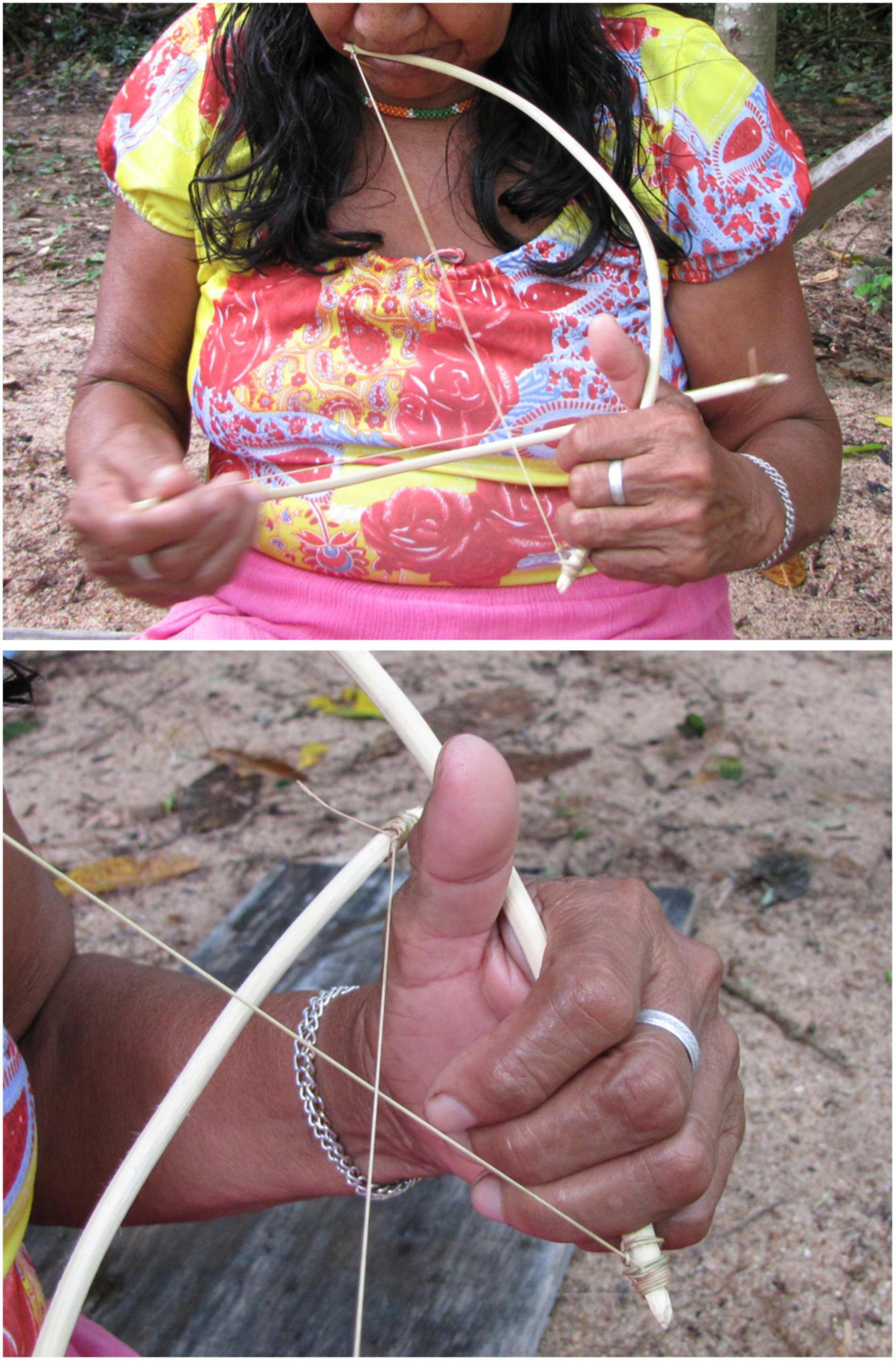 www.frontiersin.org