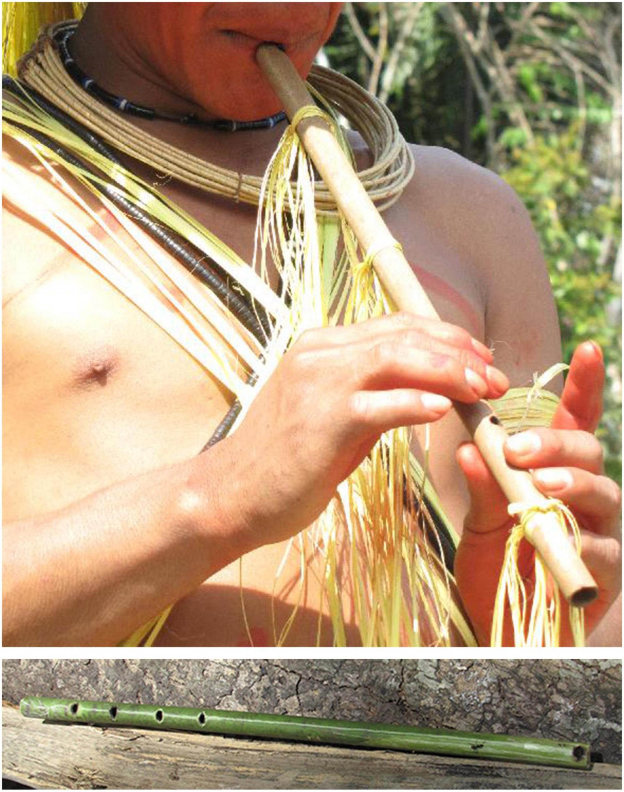 www.frontiersin.org