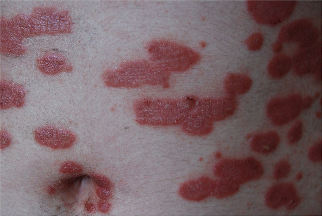 www.frontiersin.org