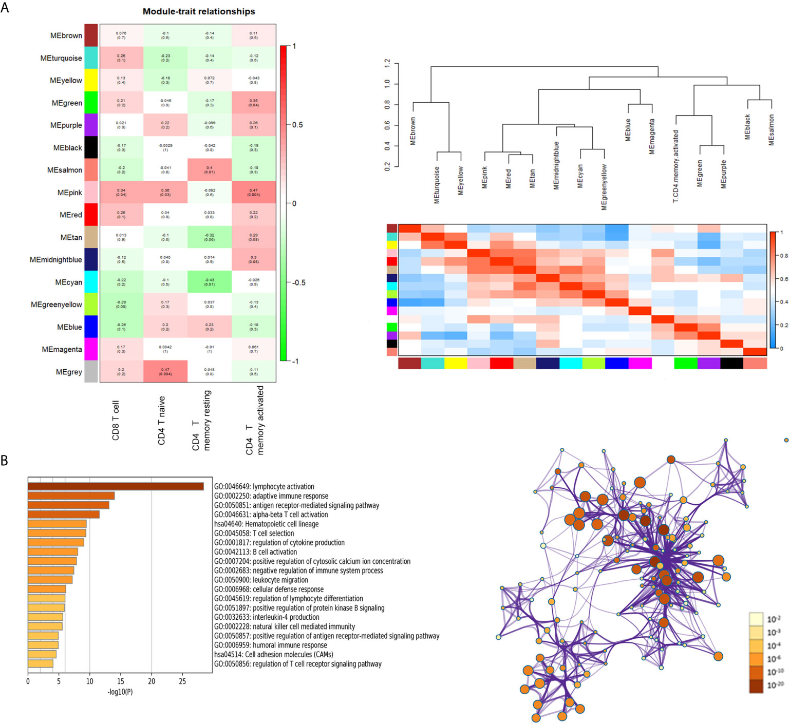 Frontiers | Analysis of Immune-Related Signatures Related to CD4+ T ...