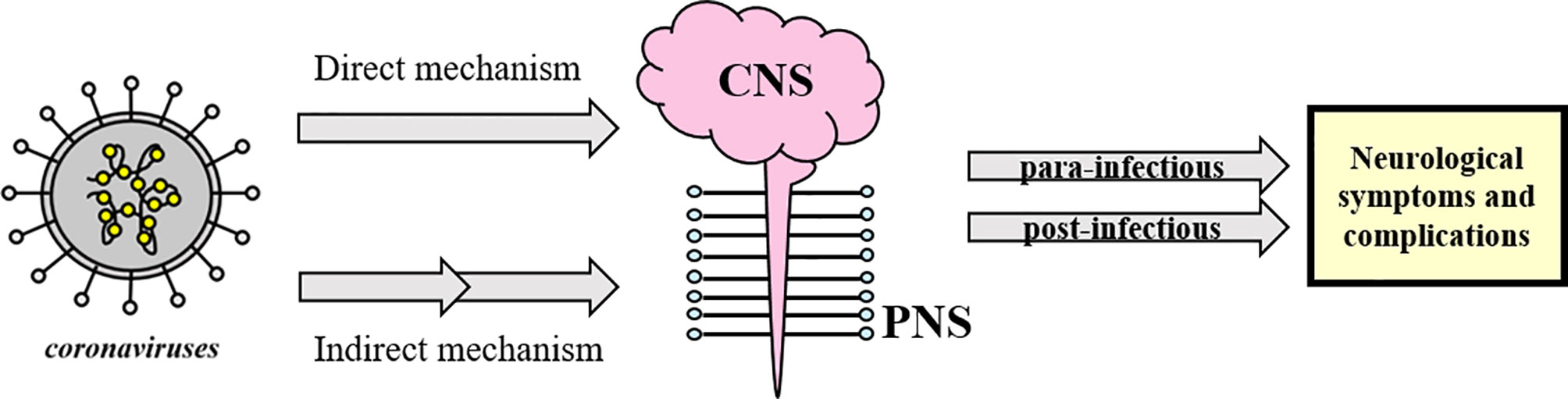 www.frontiersin.org