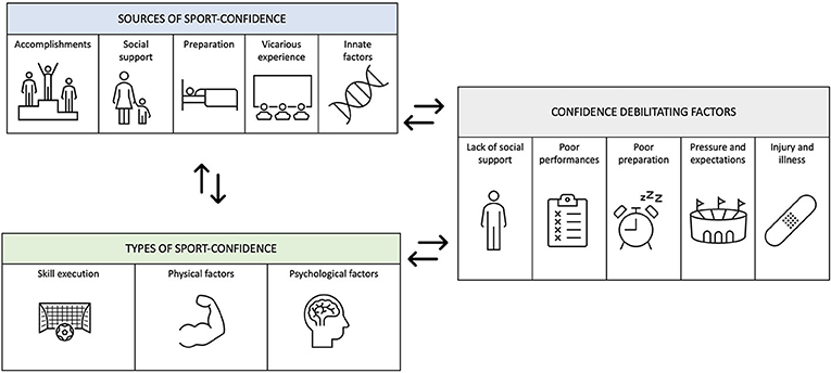 Figure 2 - Types, sources, and debilitating factors of sport-confidence in elite young athletes.