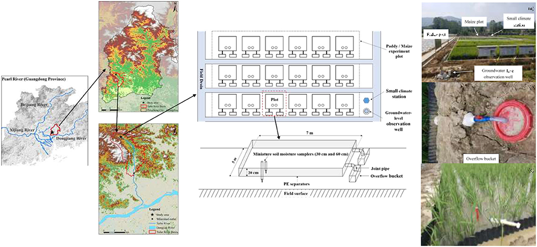 agricultural runoff diagram