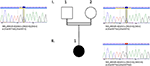 download amplifx download amplifx