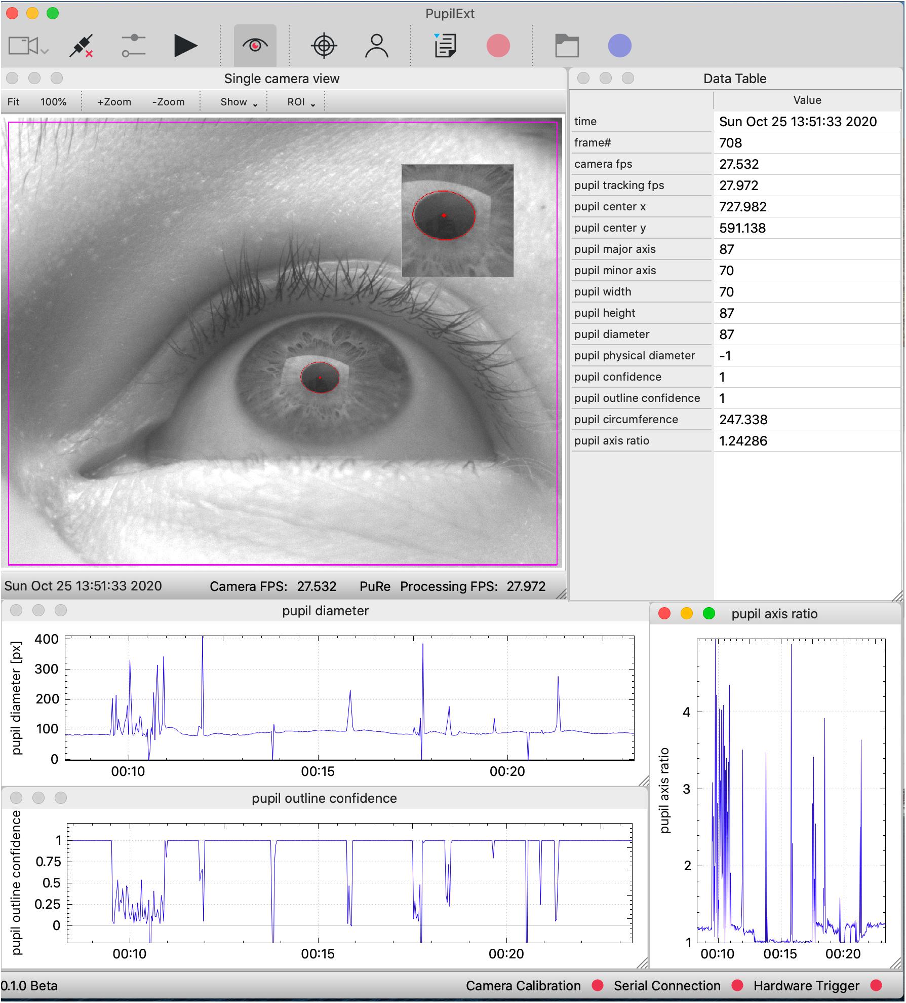 Caught Forever in a Picture Frame: The Impact of the Gaze in