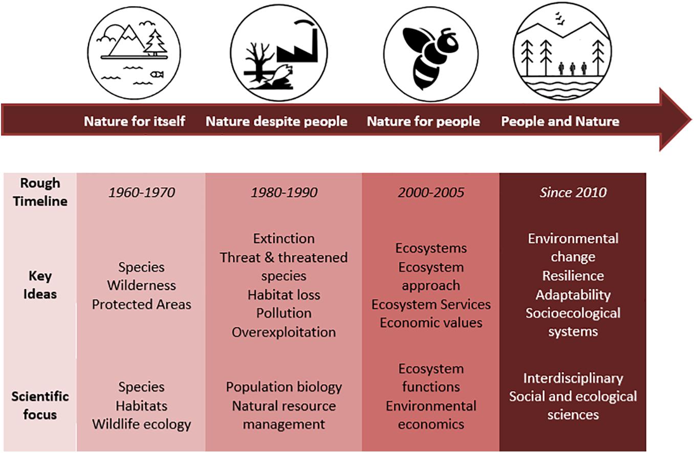 PDF) A functional vulnerability framework for biodiversity conservation