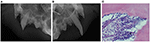 www.frontiersin.org