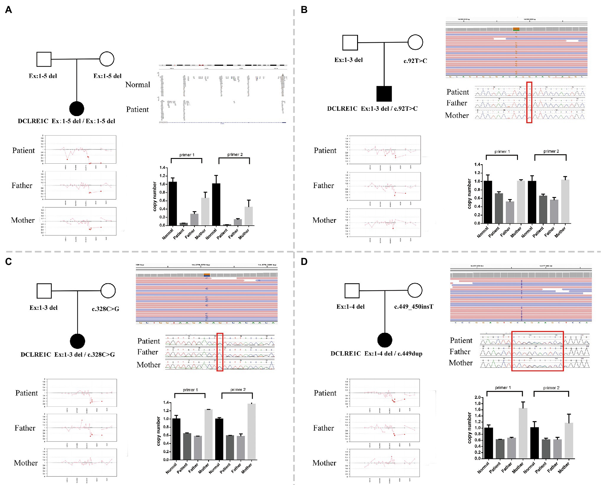 Frontiers | High-Frequency Exon Deletion DNA Cross-Link Repair 1C Accounting for Severe Combined Immunodeficiency May Be Missed by Whole-Exome Sequencing