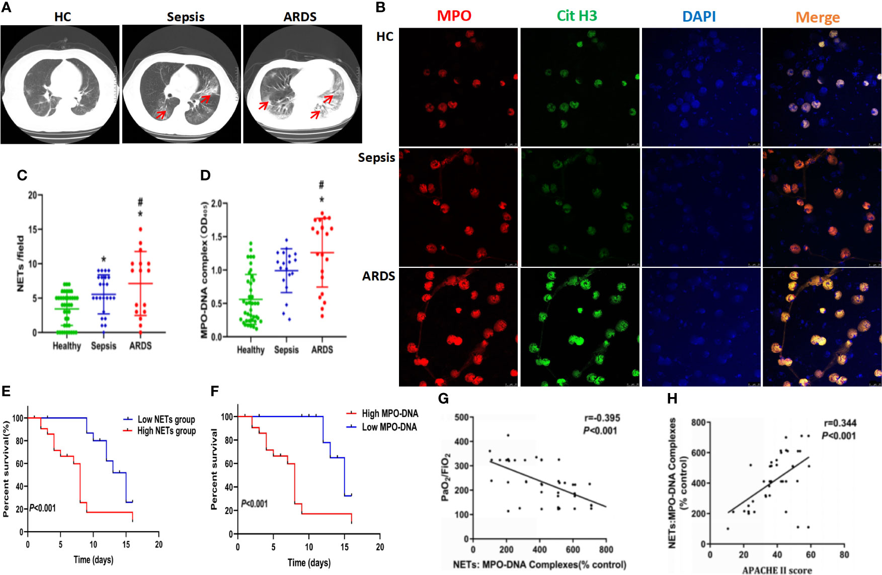 Frontiers  The Significance of Neutrophil Extracellular Traps in