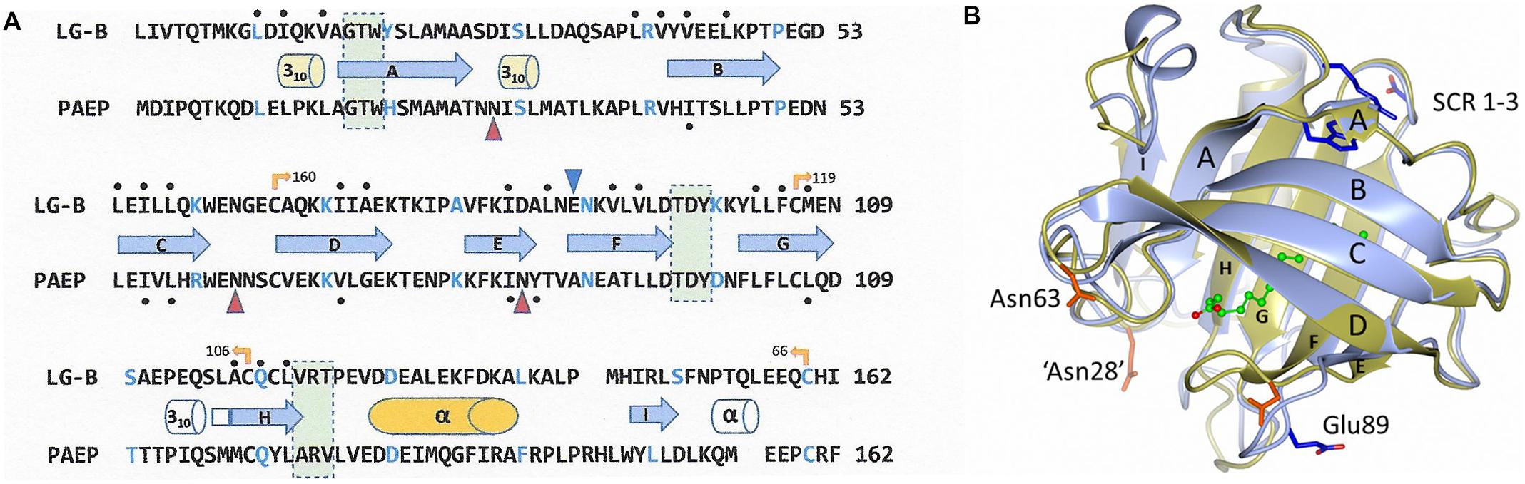 malignant mesothelioma in genes