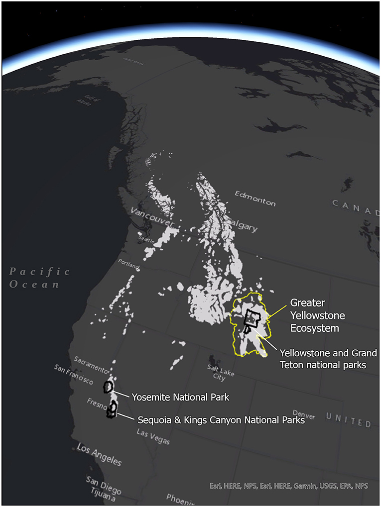Figure 1 - Locations of whitebark pine trees in western North America.