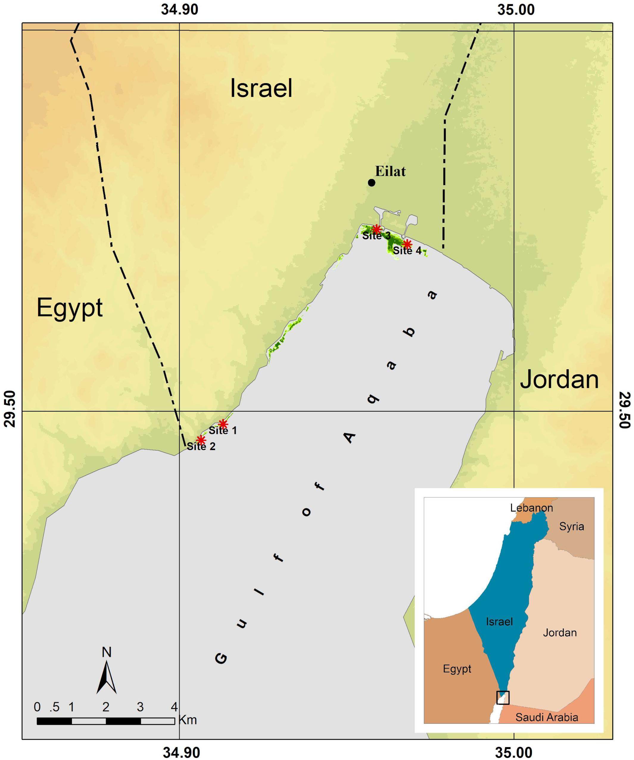 www.frontiersin.org