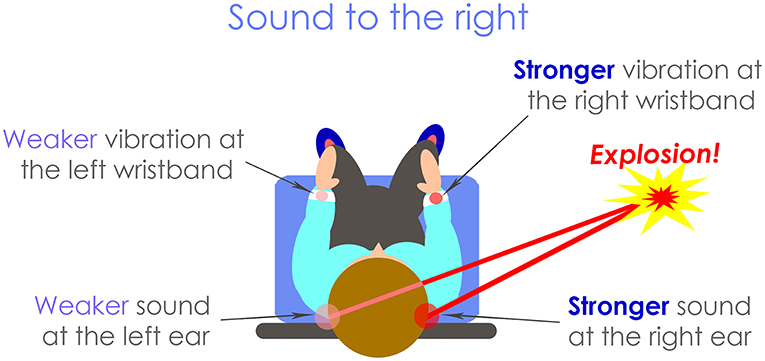 Figure 1 - A person hears an explosion to their right.