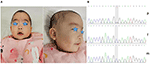 www.frontiersin.org