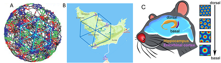 Figure 4 - Grid cells coordinates map the environment.