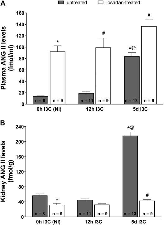 Frontiers Increased Endogenous Activity Of The Renin Angiotensin System Reduces Infarct Size In The Rats With Early Angiotensin Ii Dependent Hypertension Which Survive The Acute Ischemia Reperfusion Injury Pharmacology
