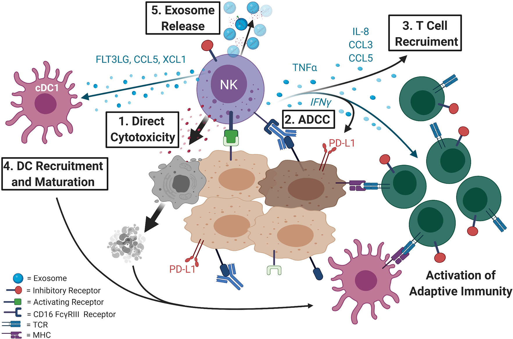 car t cell therapy drug