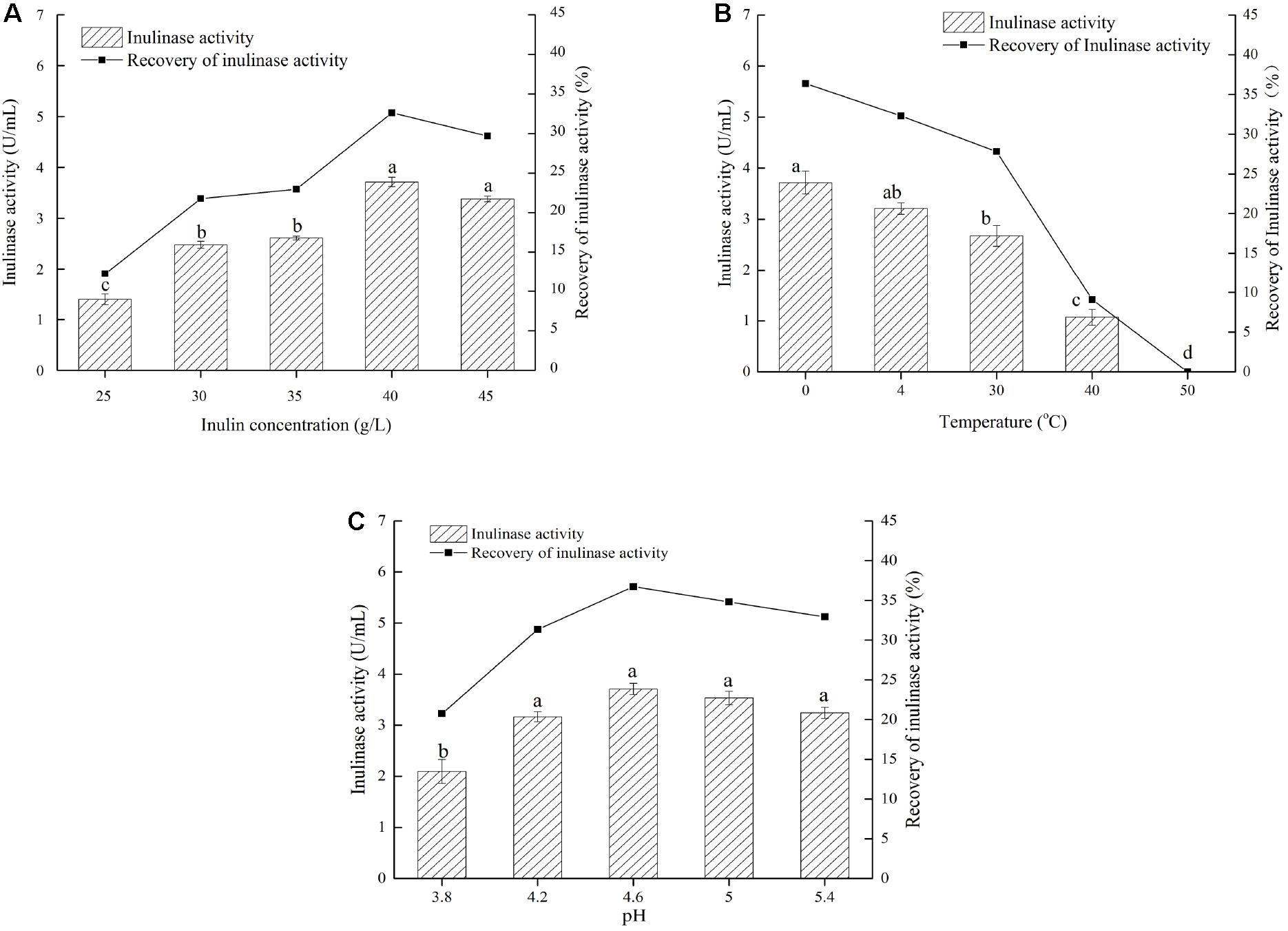 Effect of the concentration of inulin on the conversion of inulin in a