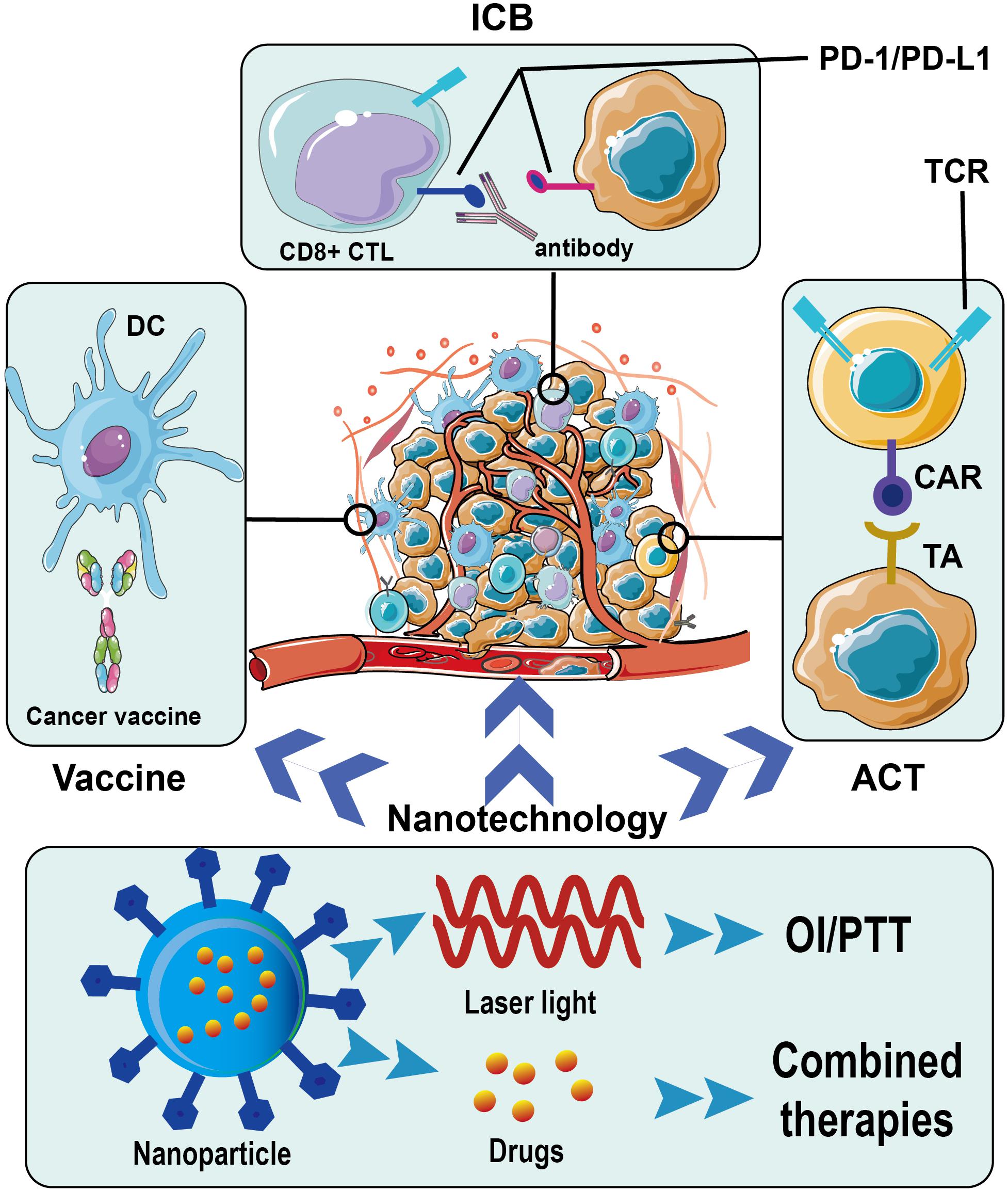 recent research on cancer immunotherapy