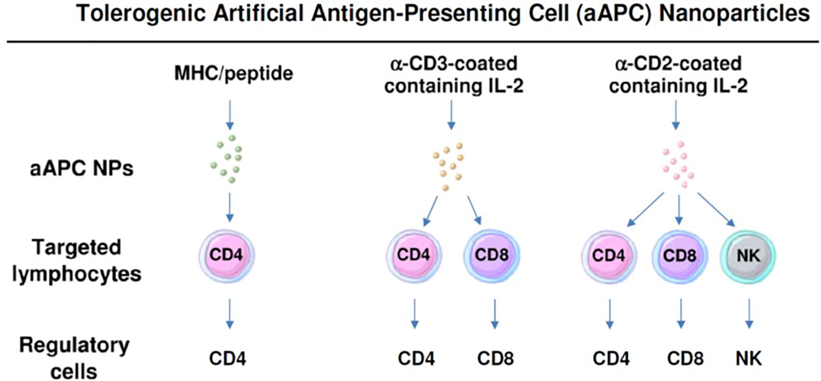 Frontiers | Strategies to Use Nanoparticles to Generate CD4 and CD8 ...