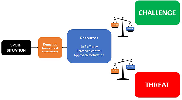 Figure 1 - Challenge and threat states.