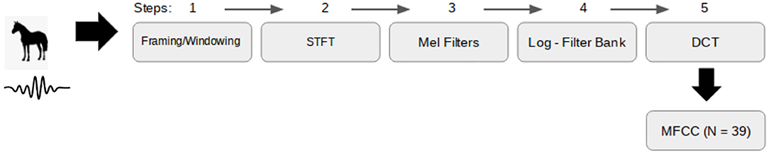 www.frontiersin.org