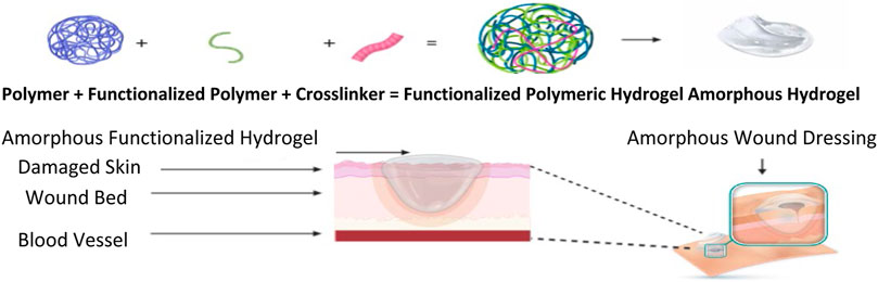 Ionically and Enzymatically Dual Cross-Linked Oxidized Alginate