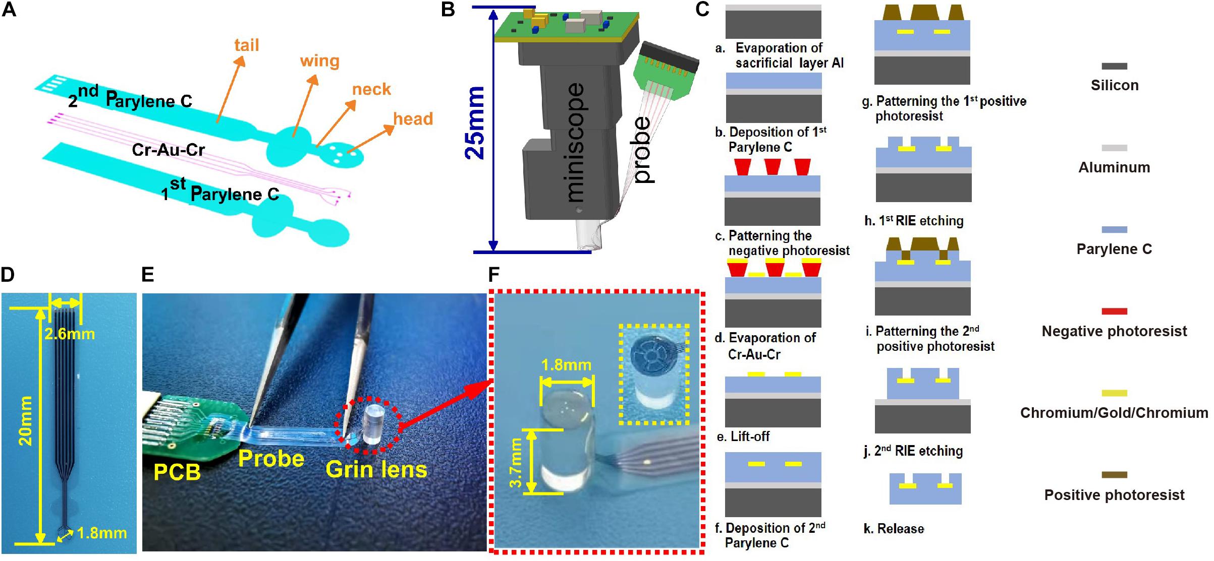 Using Baseplating and a Miniscope Preanchored with an Objective Lens for  Calcium Transient Research in Mice