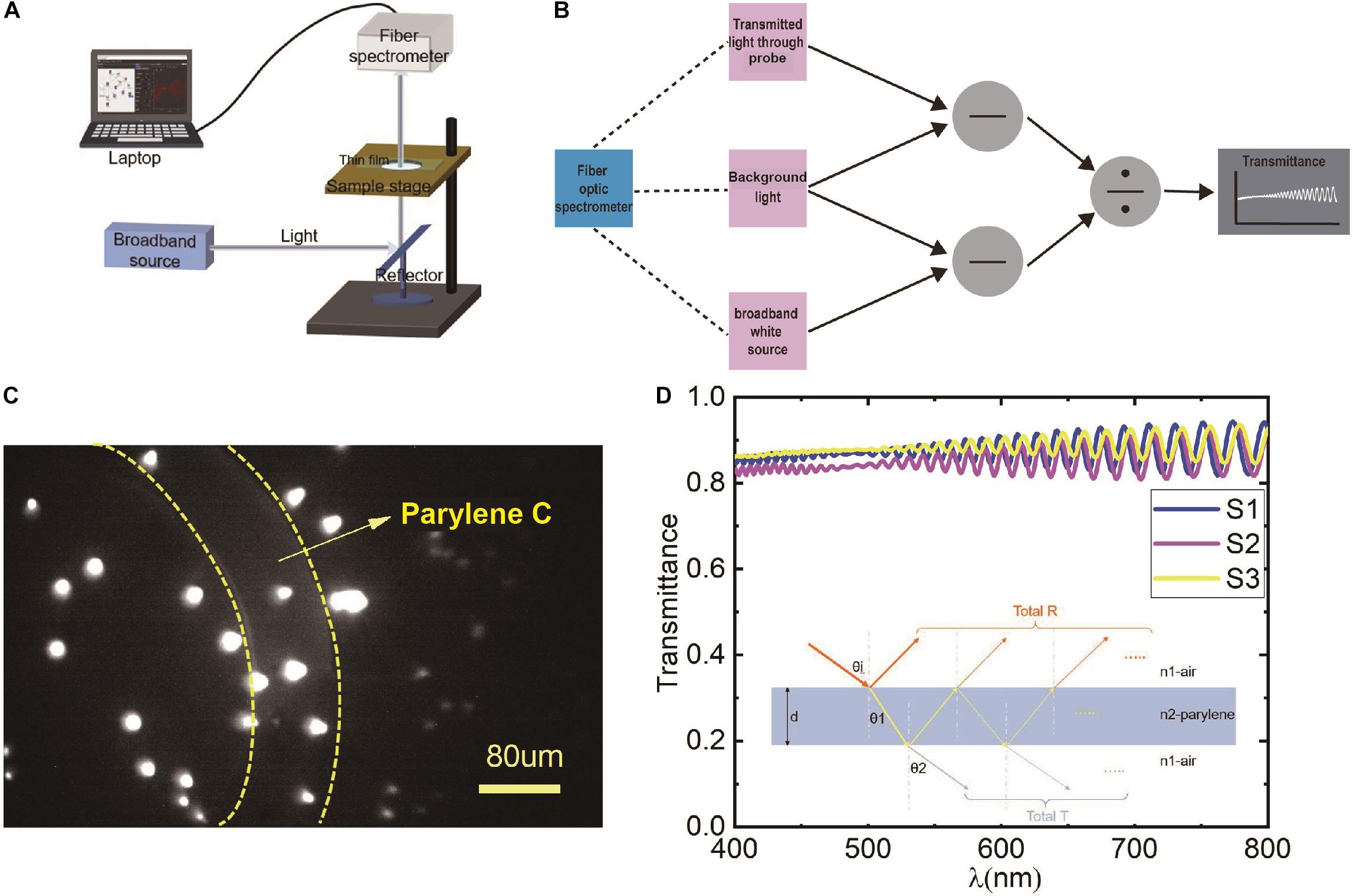 Using Baseplating and a Miniscope Preanchored with an Objective Lens for  Calcium Transient Research in Mice