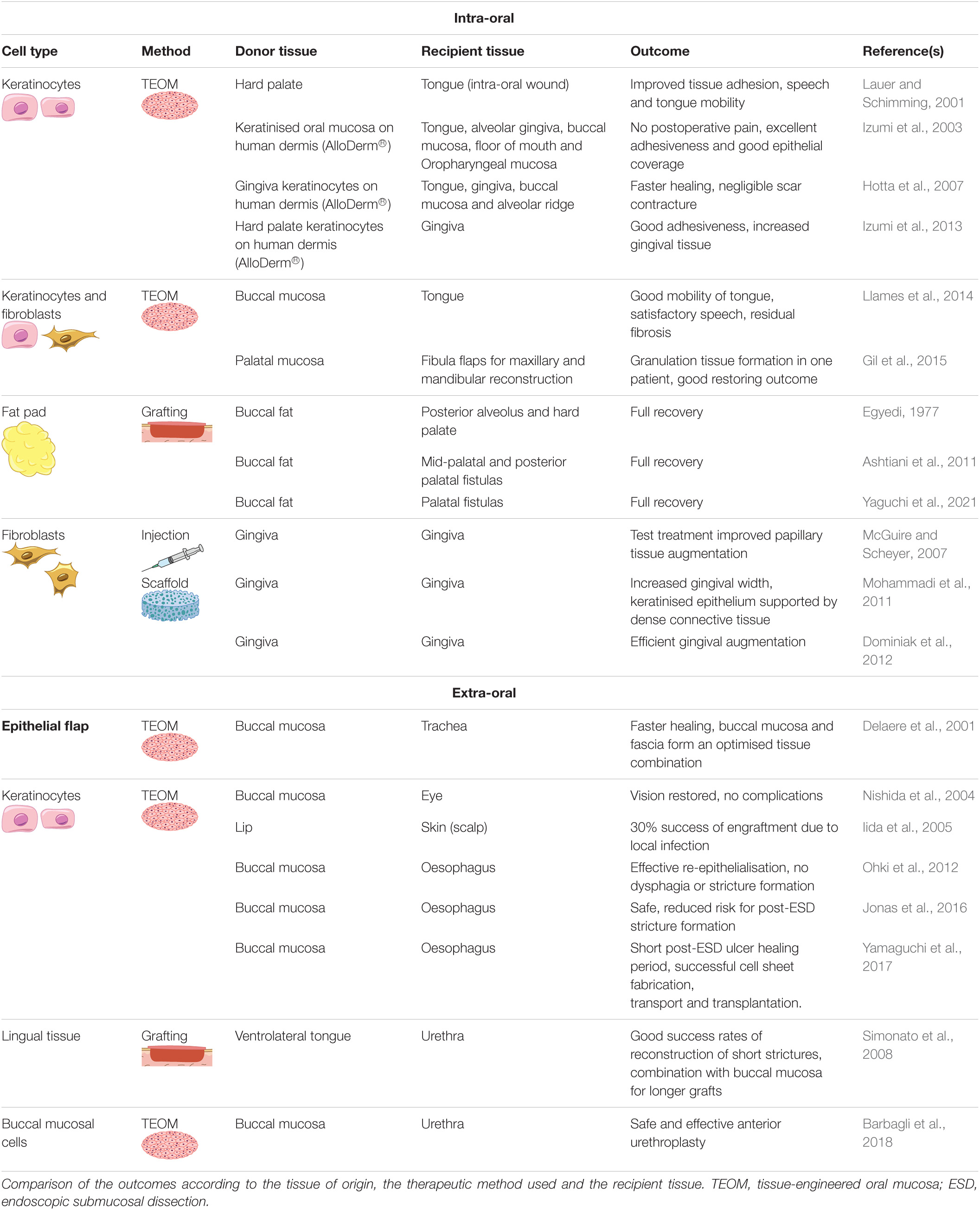 Frontiers  A Scarless Healing Tale: Comparing Homeostasis and Wound  Healing of Oral Mucosa With Skin and Oesophagus