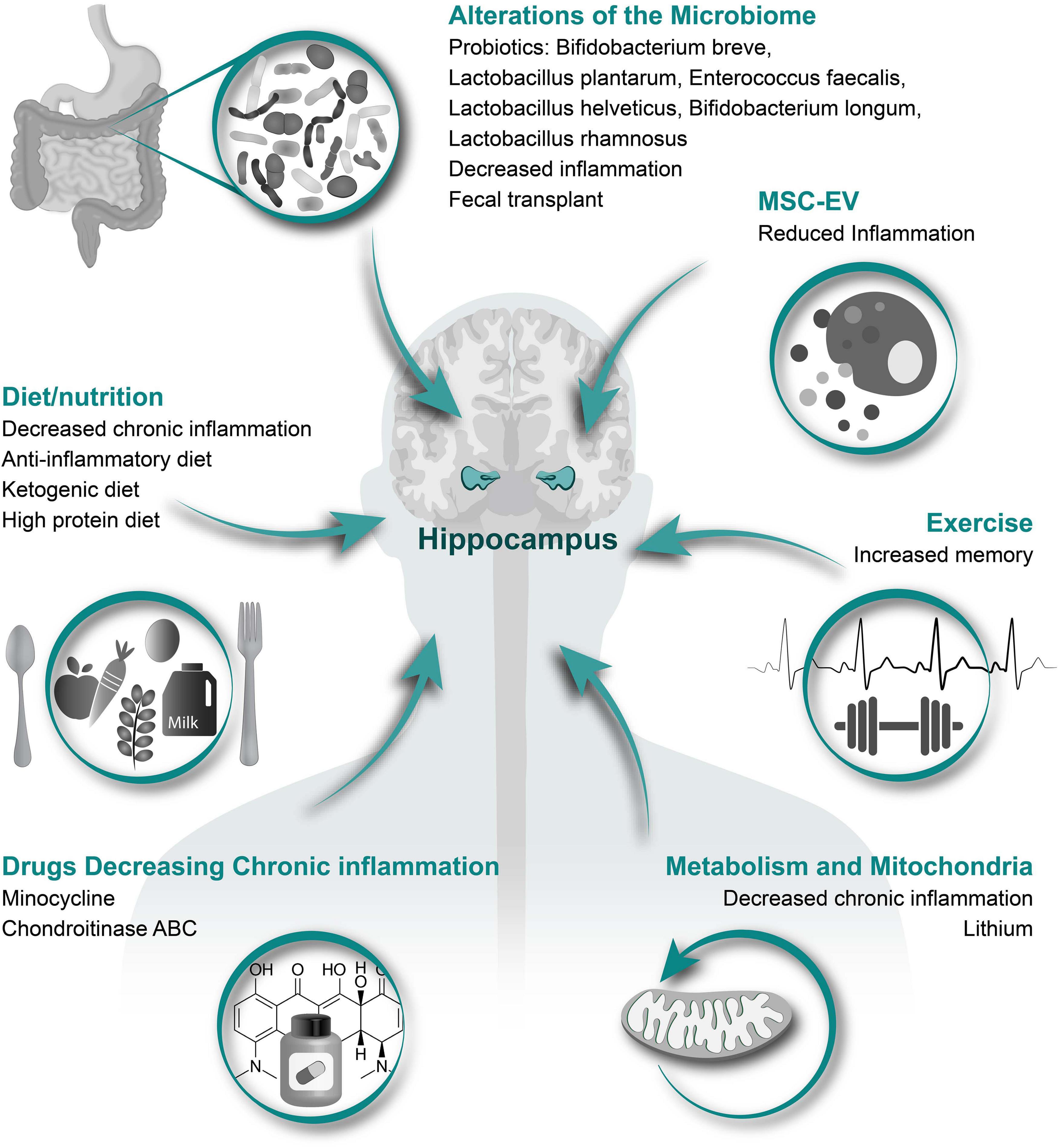 Treating Systemic Muscle Pain - A Short Blog By Emed