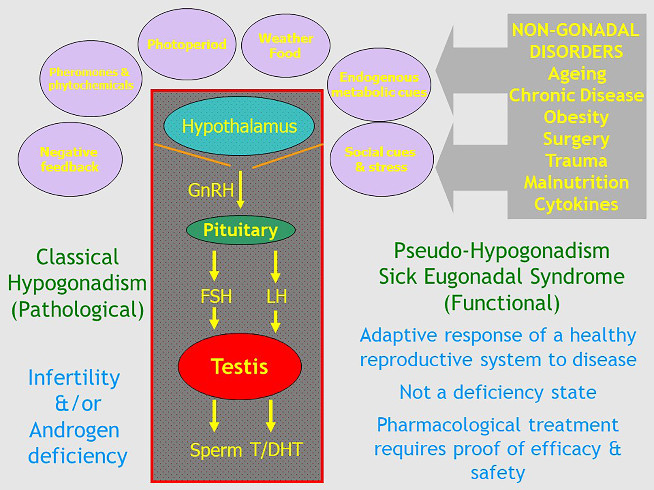 inevitableavoidable Spectrum of Causality inevitable