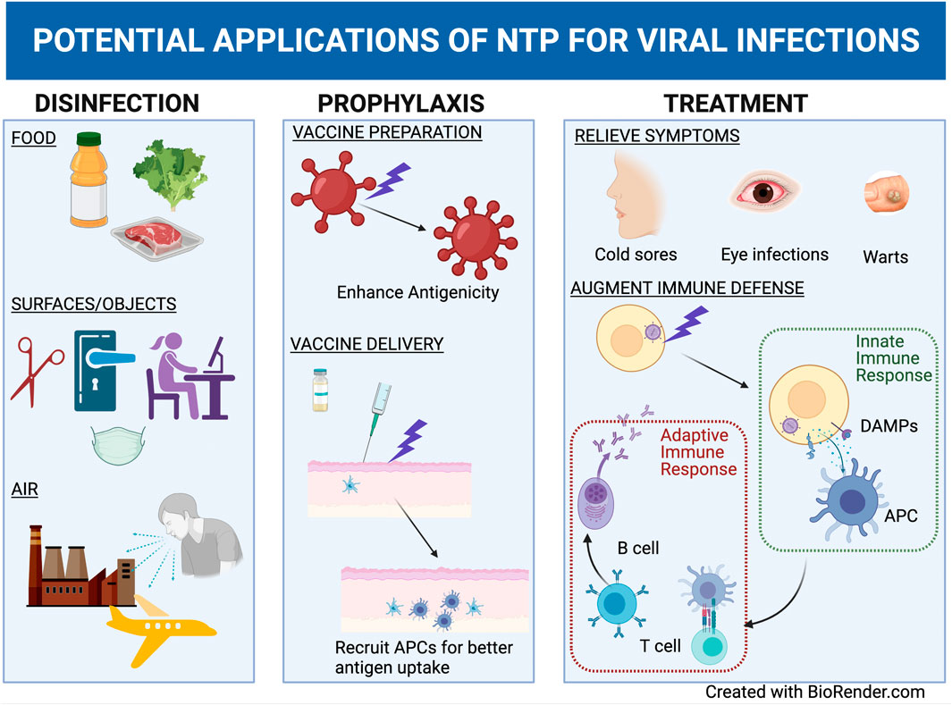 Ebola Virus Creates Intracellular Tunnels To Hide and Move in the